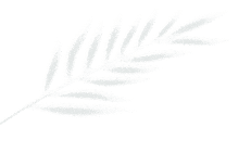 1fc098f0-f46e-4c7b-8499-12467147a293 1fc098f0-f46e-4c7b-8499-12467147a293